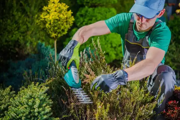 landscaping services Standish